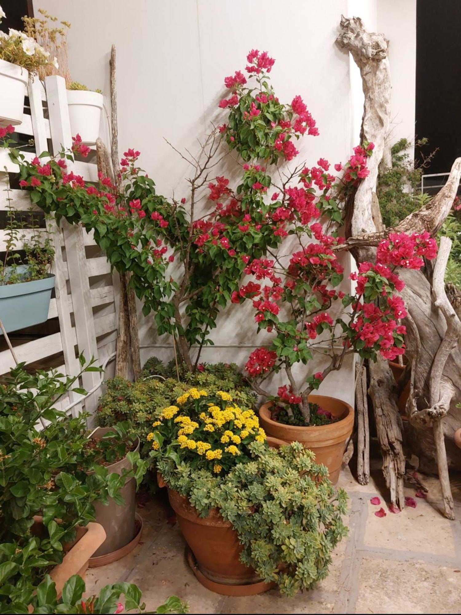 לינה וארוחת בוקר פולינאנו א מארה Mandorleolio מראה חיצוני תמונה
